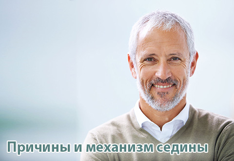 Причины и механизм седины.
